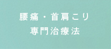 関東でダントツの腰痛・首肩治療法